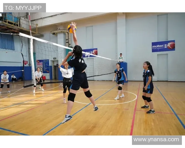 西安排球队引领排球技术革新十大趋势解析